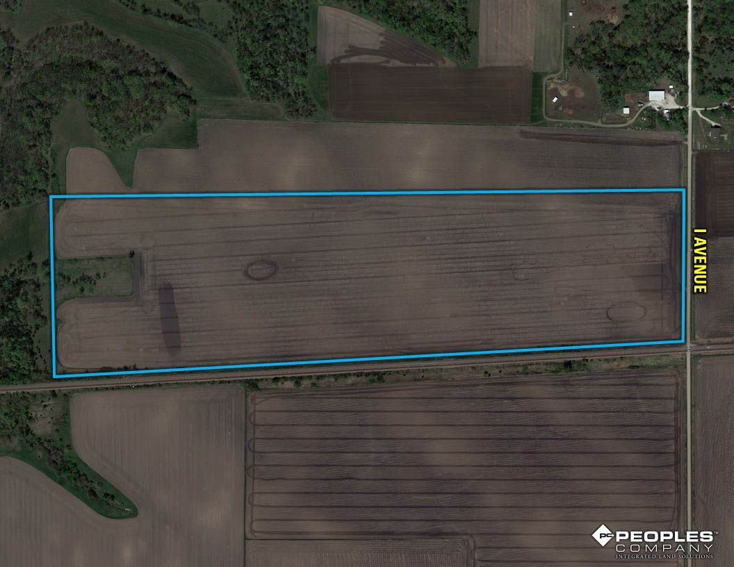 Listing Photo: Greene-County-Iowa-Farmland-Available-80-Acres-Scranton-Jefferson-19706 (19)